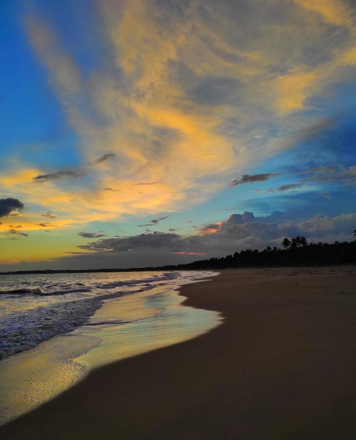 Sleeping Elephant Beach Resort タンガラ エクステリア 写真