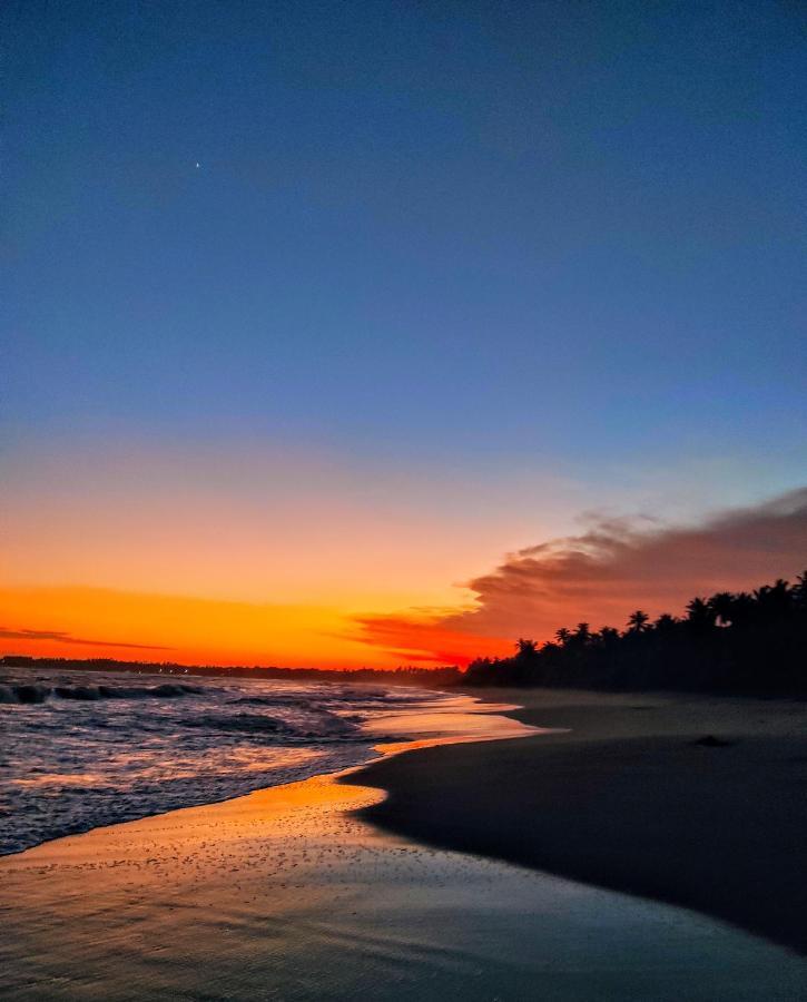 Sleeping Elephant Beach Resort タンガラ エクステリア 写真