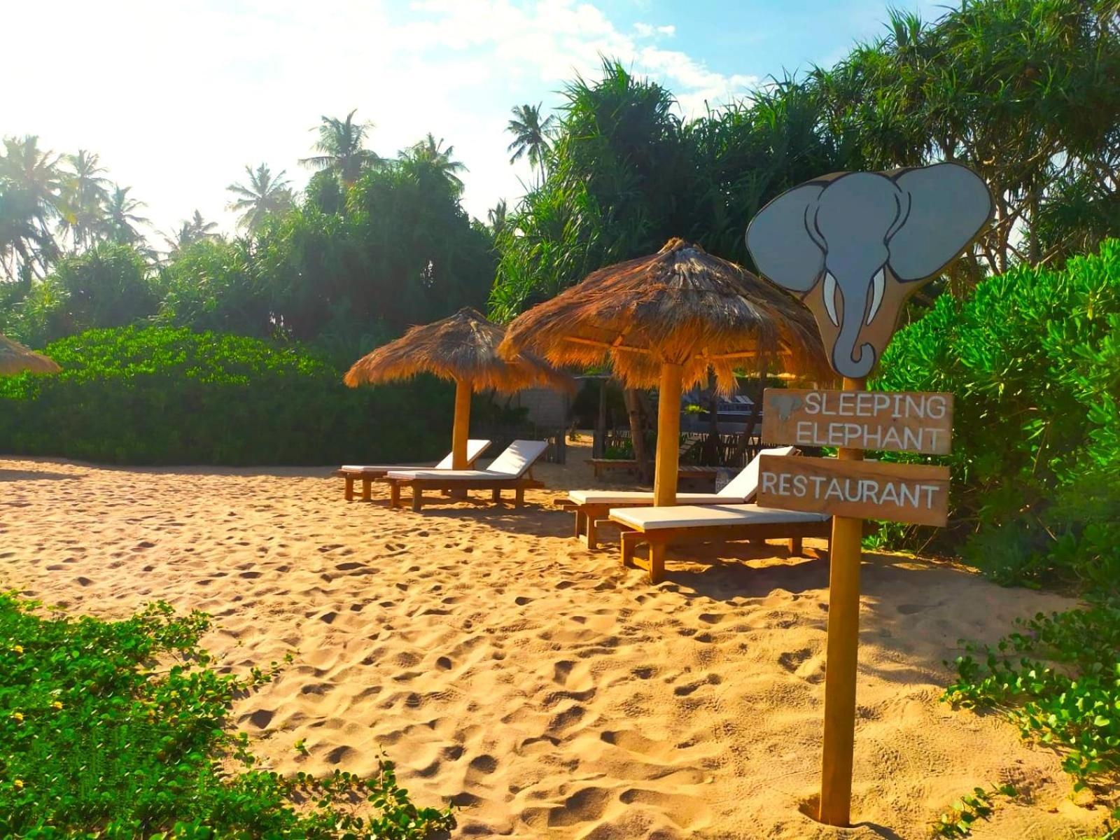 Sleeping Elephant Beach Resort タンガラ エクステリア 写真
