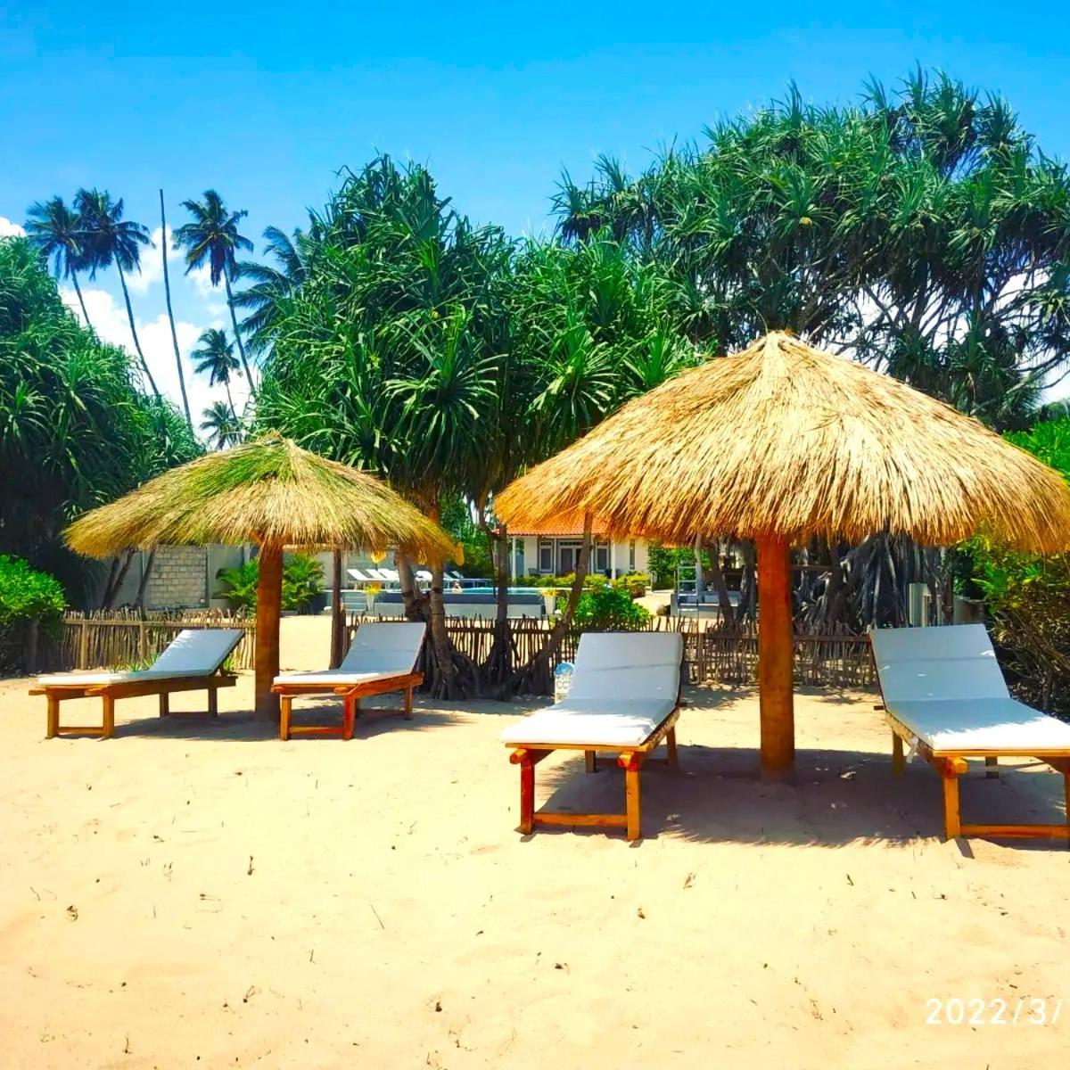 Sleeping Elephant Beach Resort タンガラ エクステリア 写真