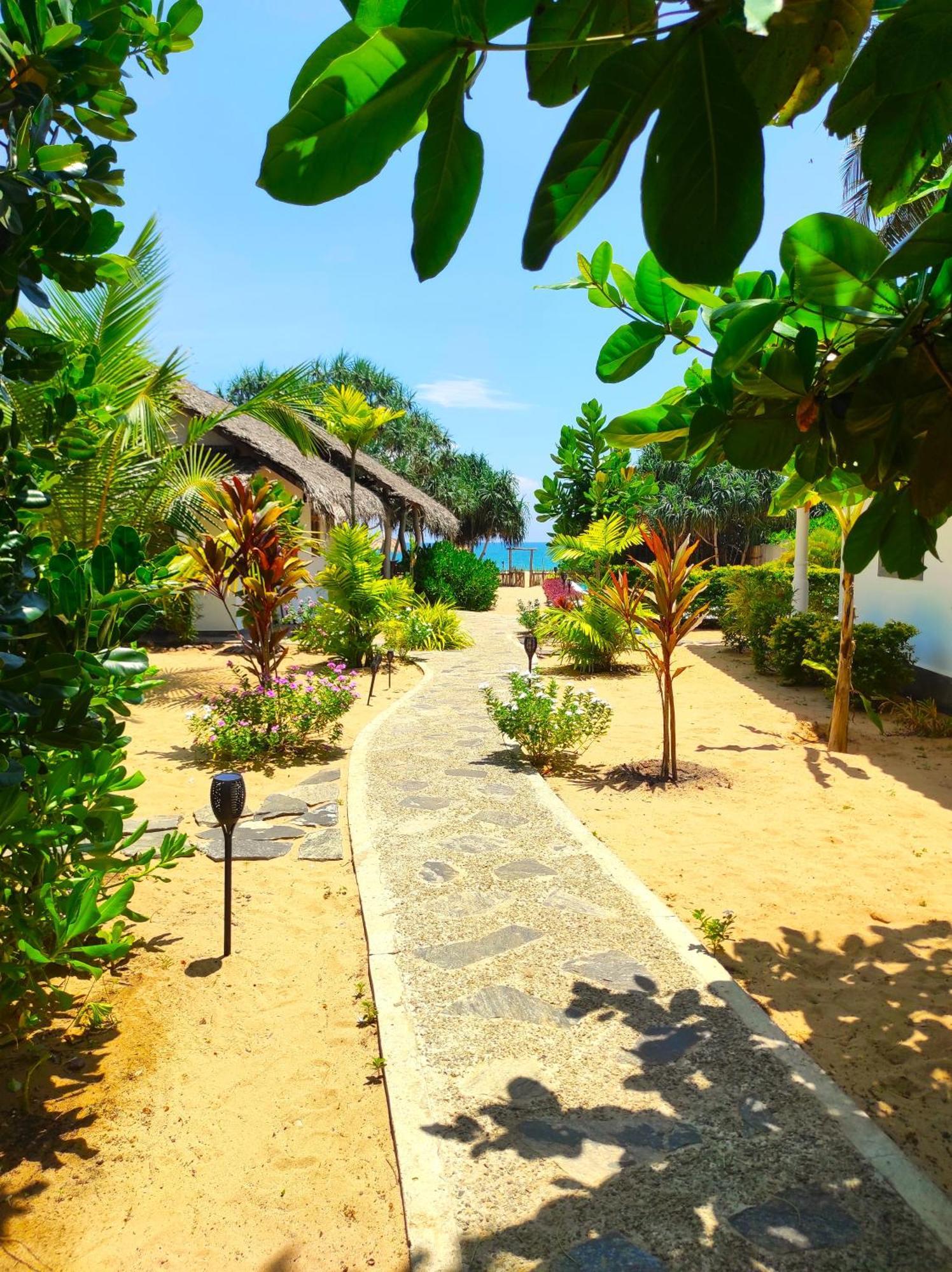 Sleeping Elephant Beach Resort タンガラ エクステリア 写真