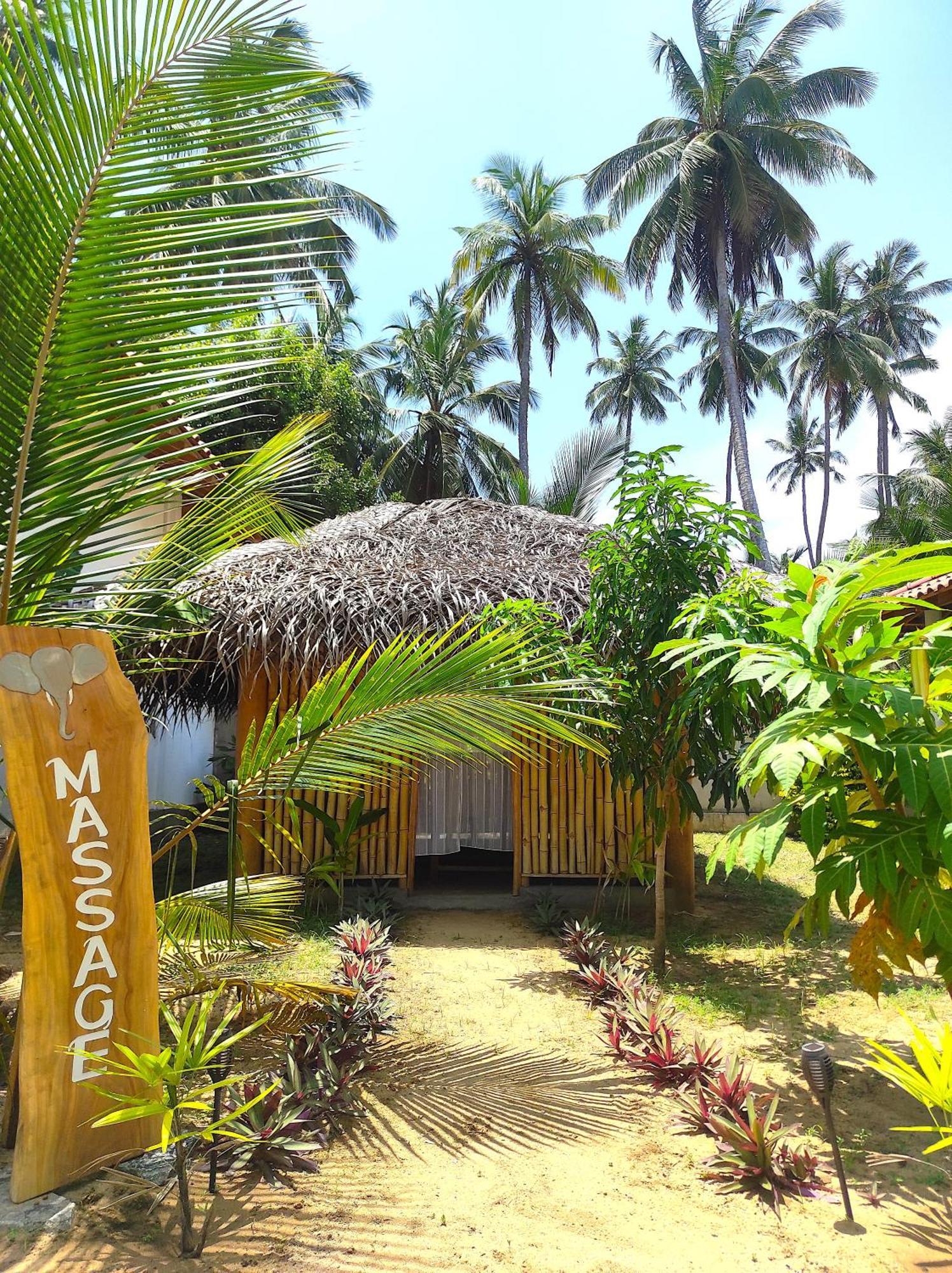 Sleeping Elephant Beach Resort タンガラ エクステリア 写真